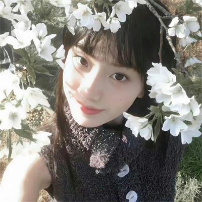 索玛丽与森林之神